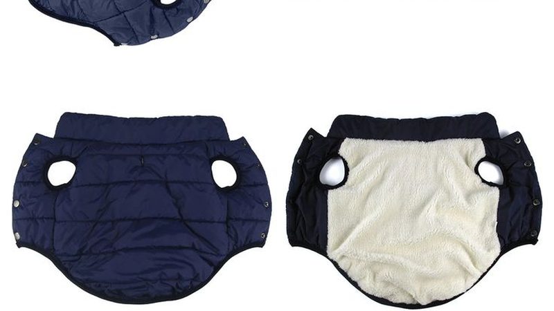 小标题：一、冷水机的作用与分类