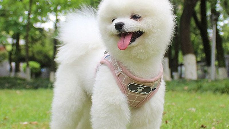 小型冷库安装合同中有哪些关键条款不可忽视